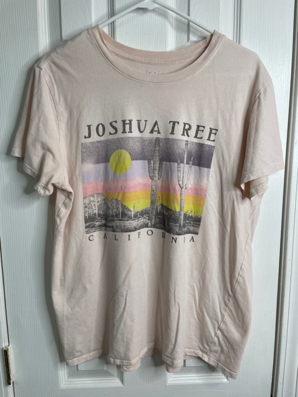 Joshua Tree Graphic Tee in Light Pink